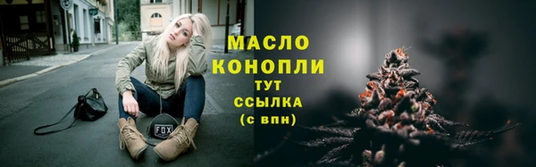 молекула духа Мегион