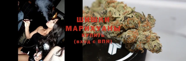 молекула духа Мегион