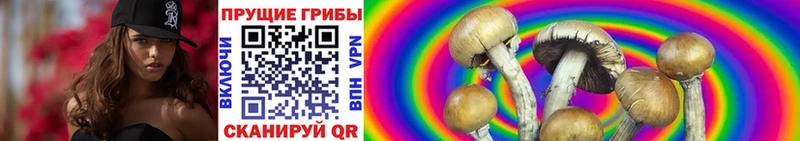 Галлюциногенные грибы MAGIC MUSHROOMS  Котово 